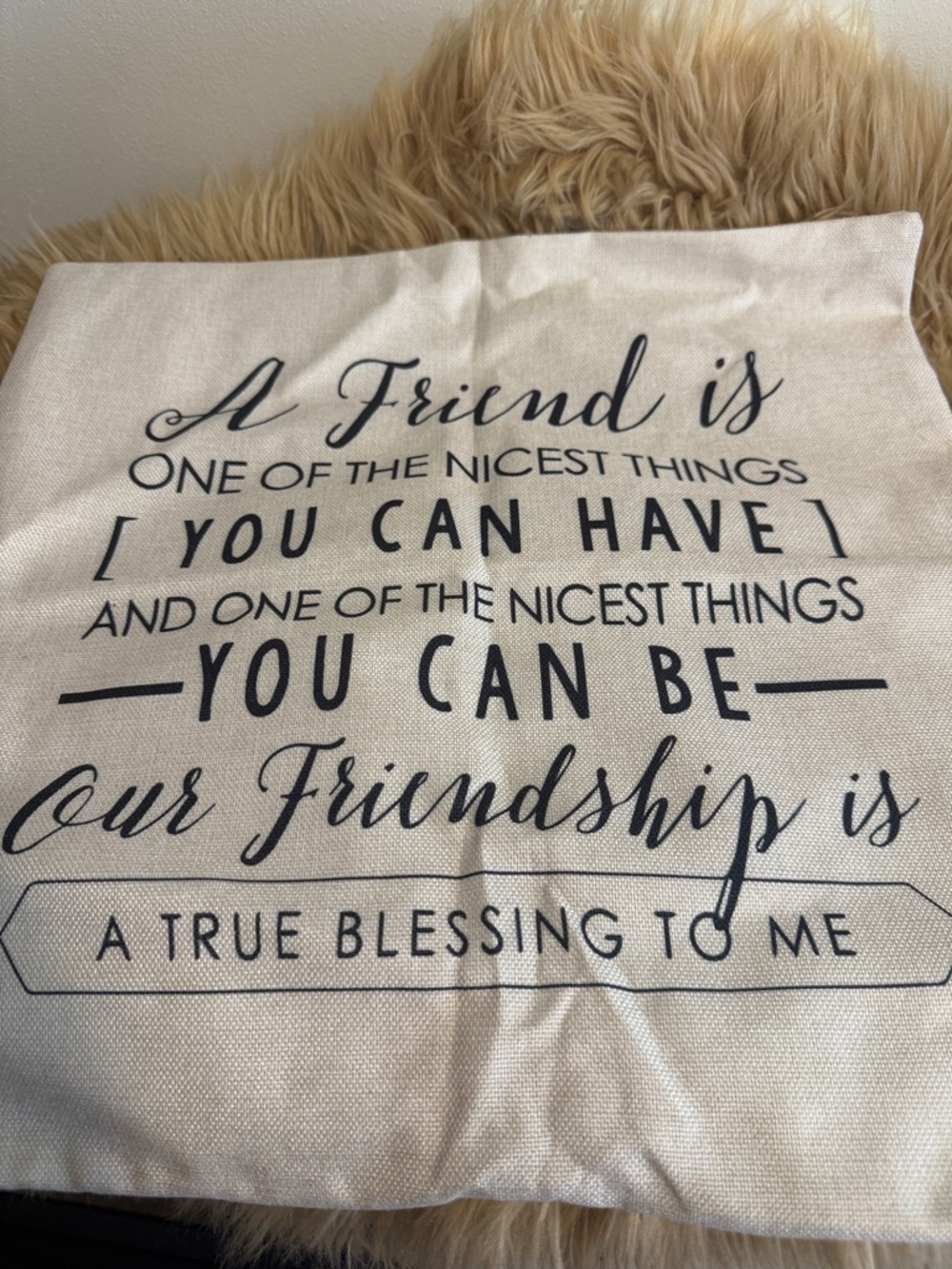 Friendship Quote Decorative Throw Pillow Cover - Cream with Black Text